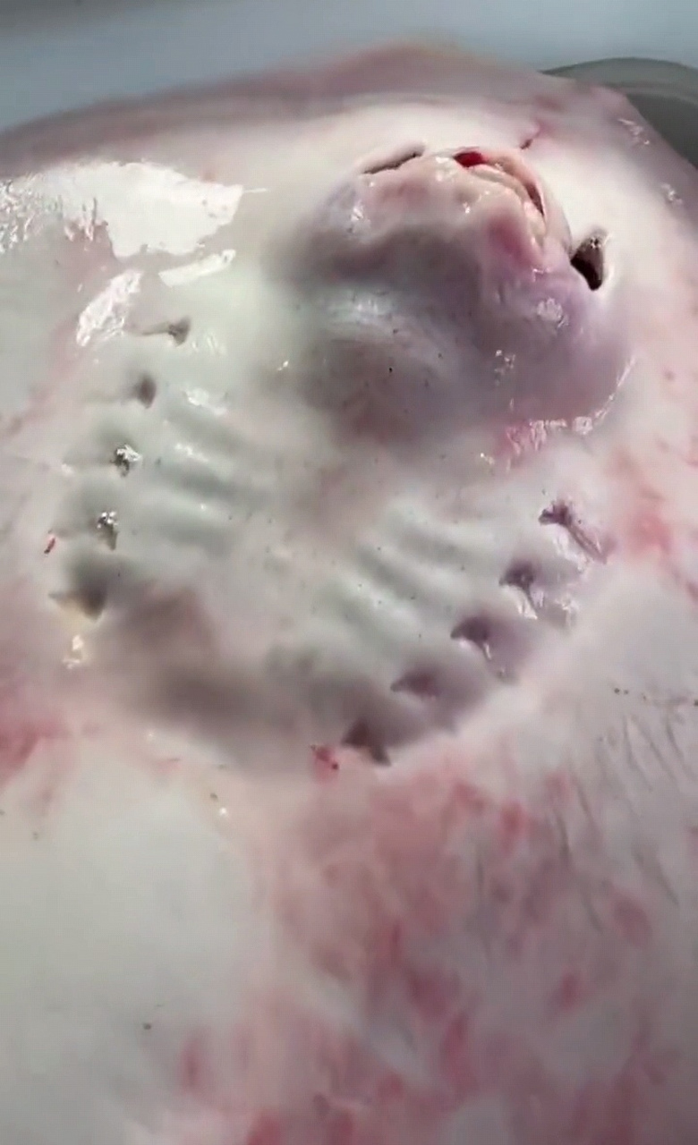 它嘟哝着嘴巴,这是生气吗?