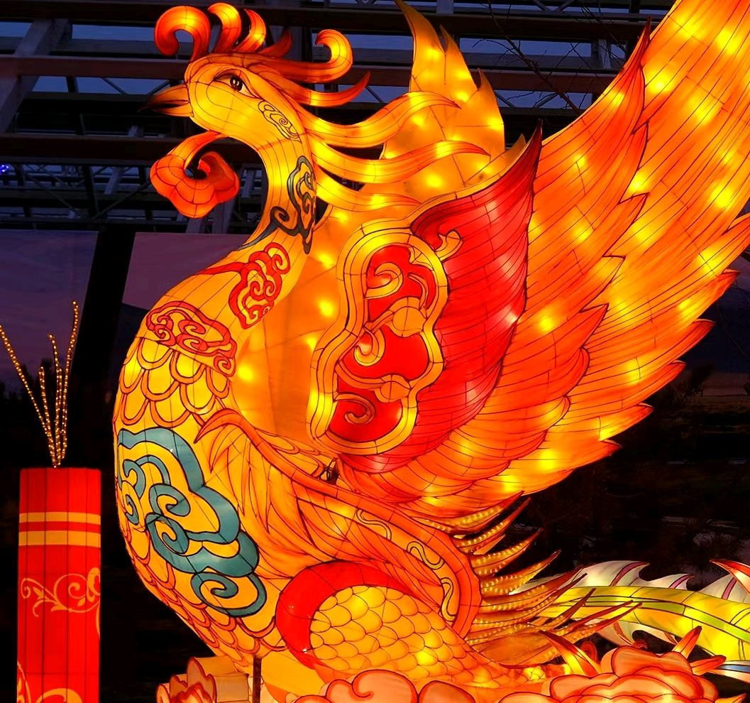 凤凰花灯靚京西