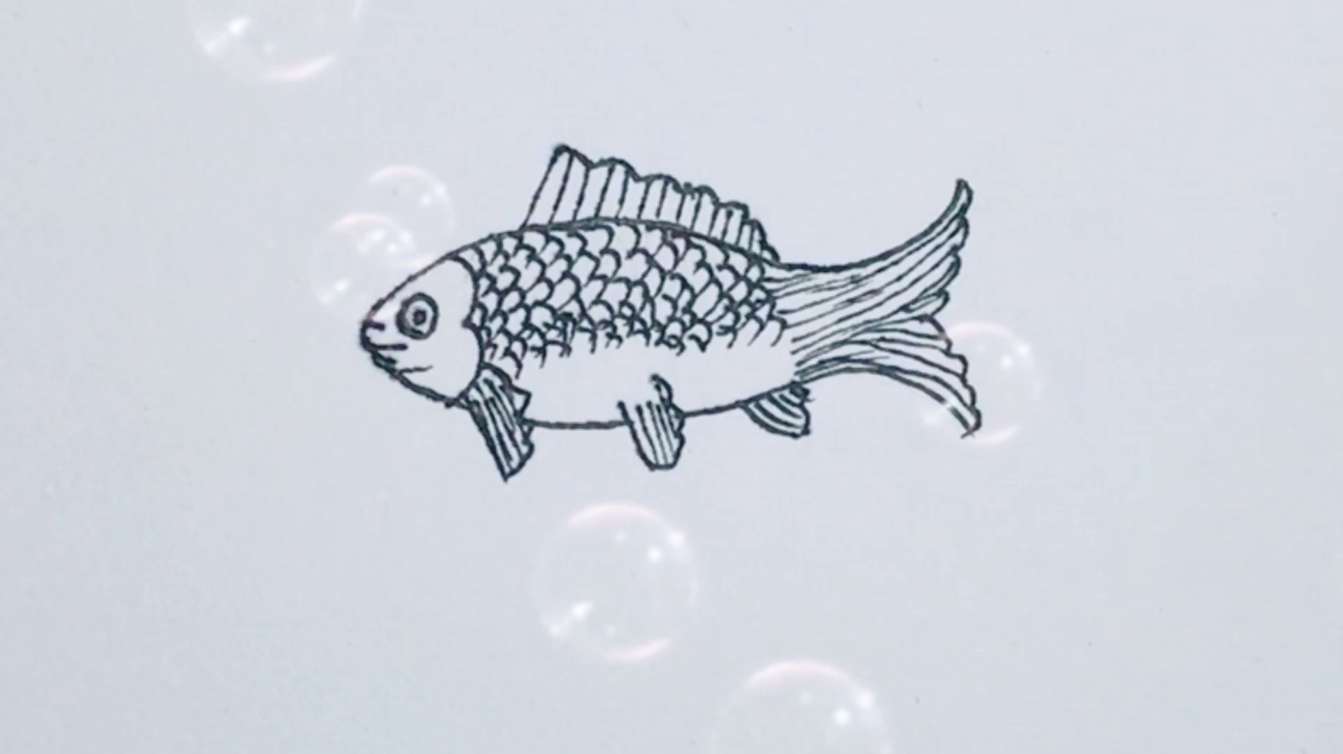 鱼怎么画好看?教程来了,今天教你如何画一条鱼