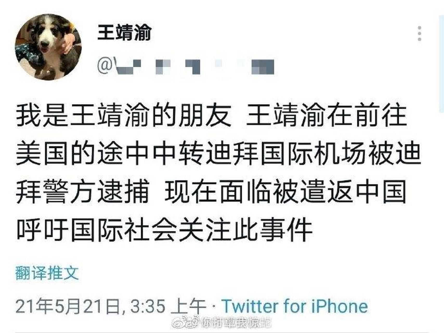 侮辱解放军烈士的王靖宇在迪拜被捕 侮辱烈士的王靖渝在迪拜被捕了