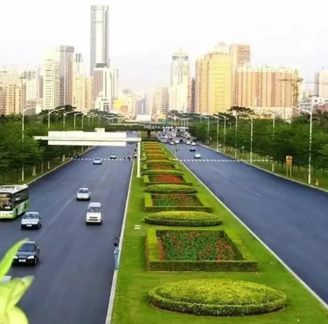 深圳2008年的10张照片