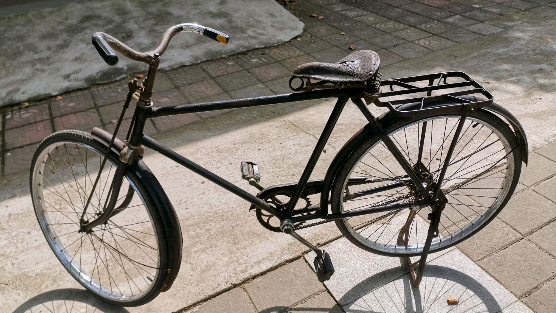 80年代大金鹿自行车图片