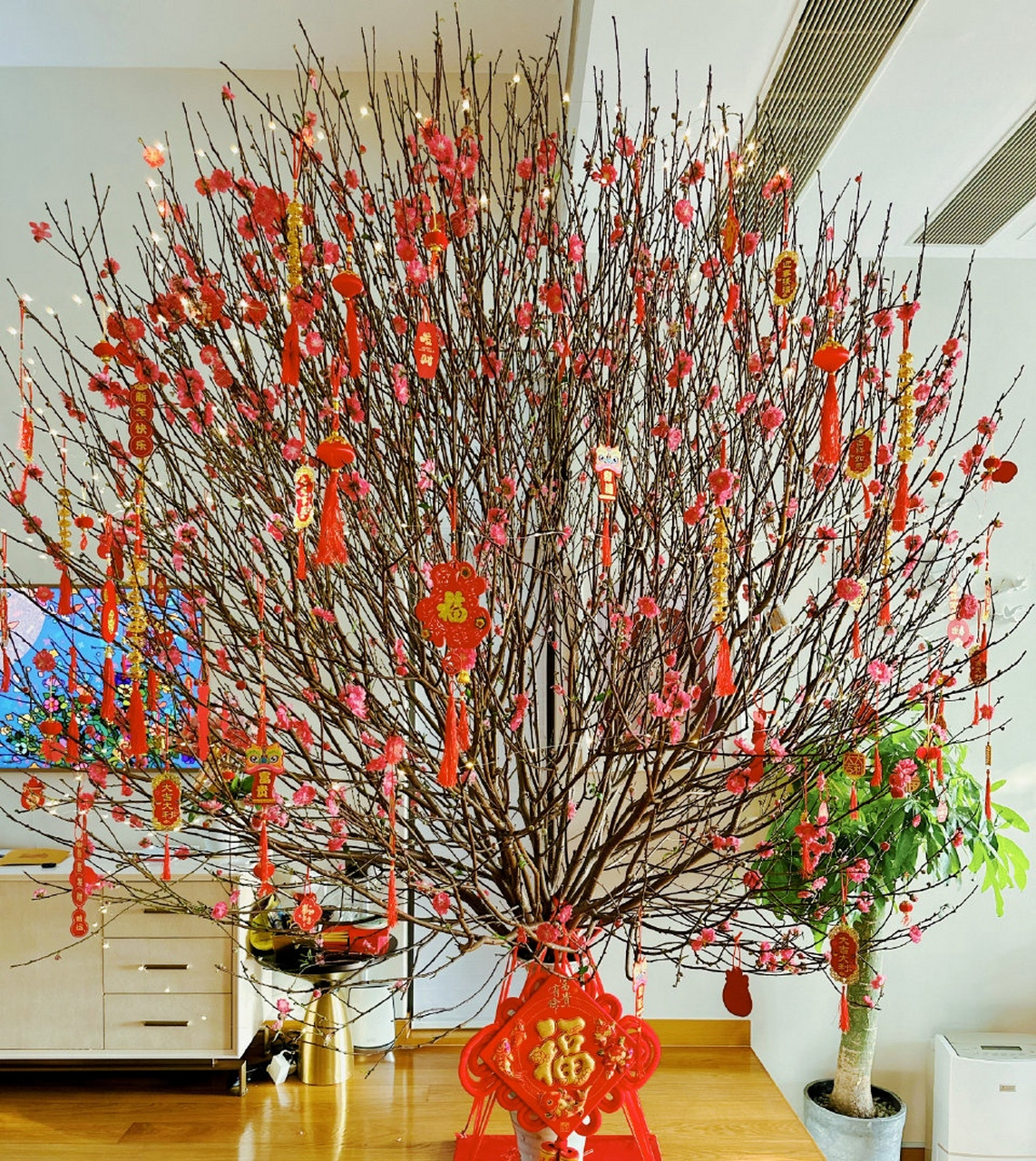 我的嘴巴可灵了,新的一年祝大家开开心心,财源广进,心想事成,诸事顺利