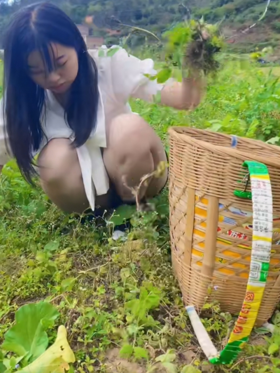 网红梦真的让一些人走火入魔了!