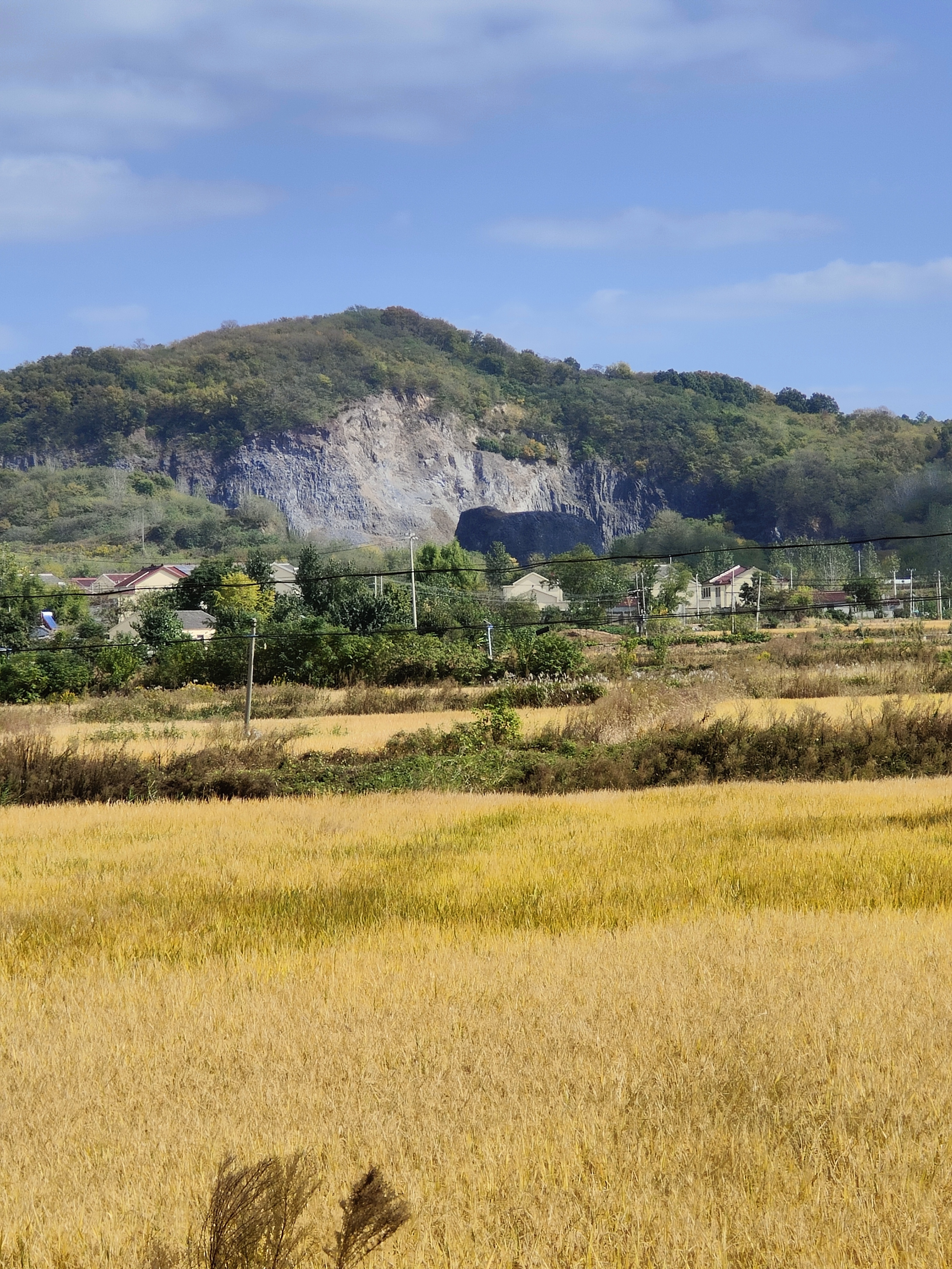 恋山坝上草原—六合区程桥镇