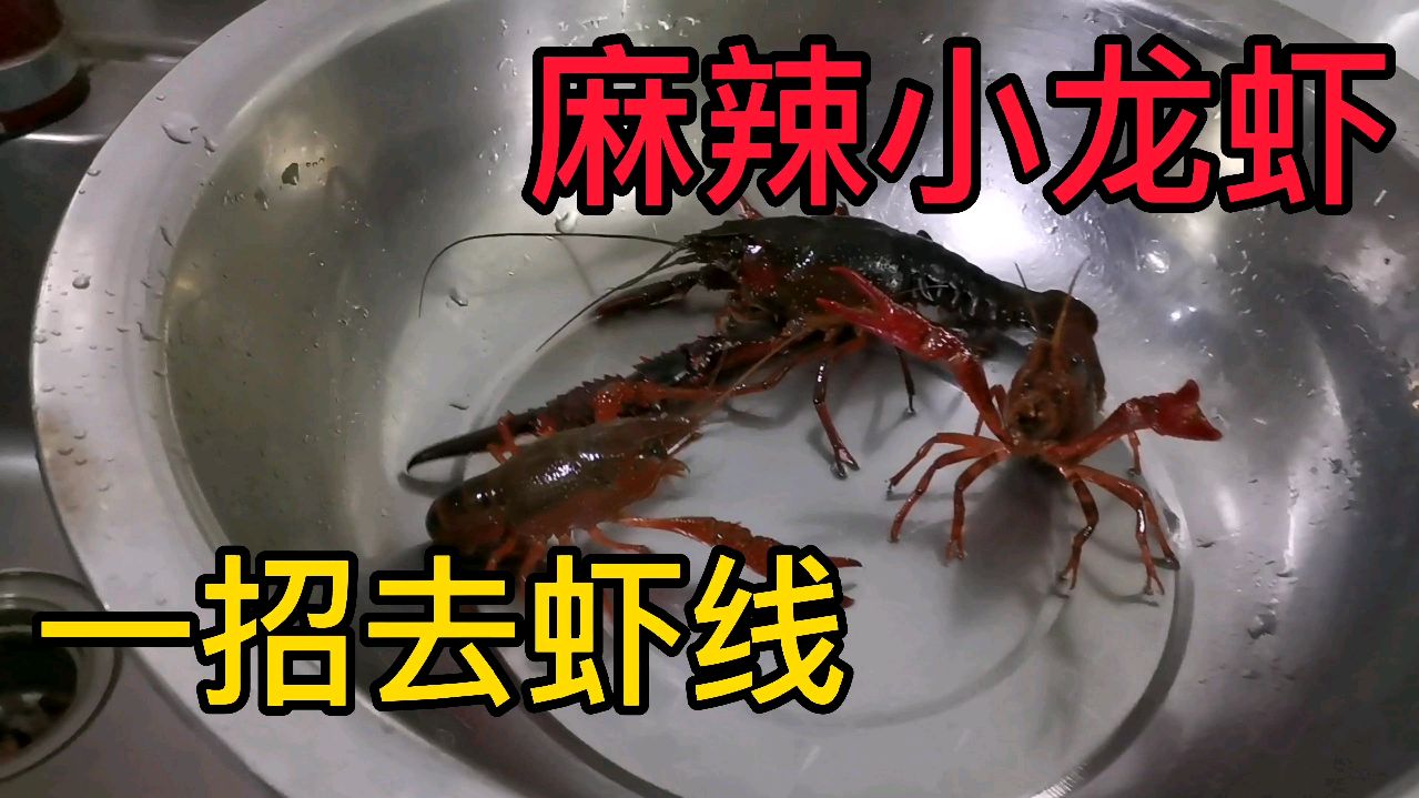 吃小龙虾一定要处理干净!金米爸爸教你一招,2秒快速去除虾线