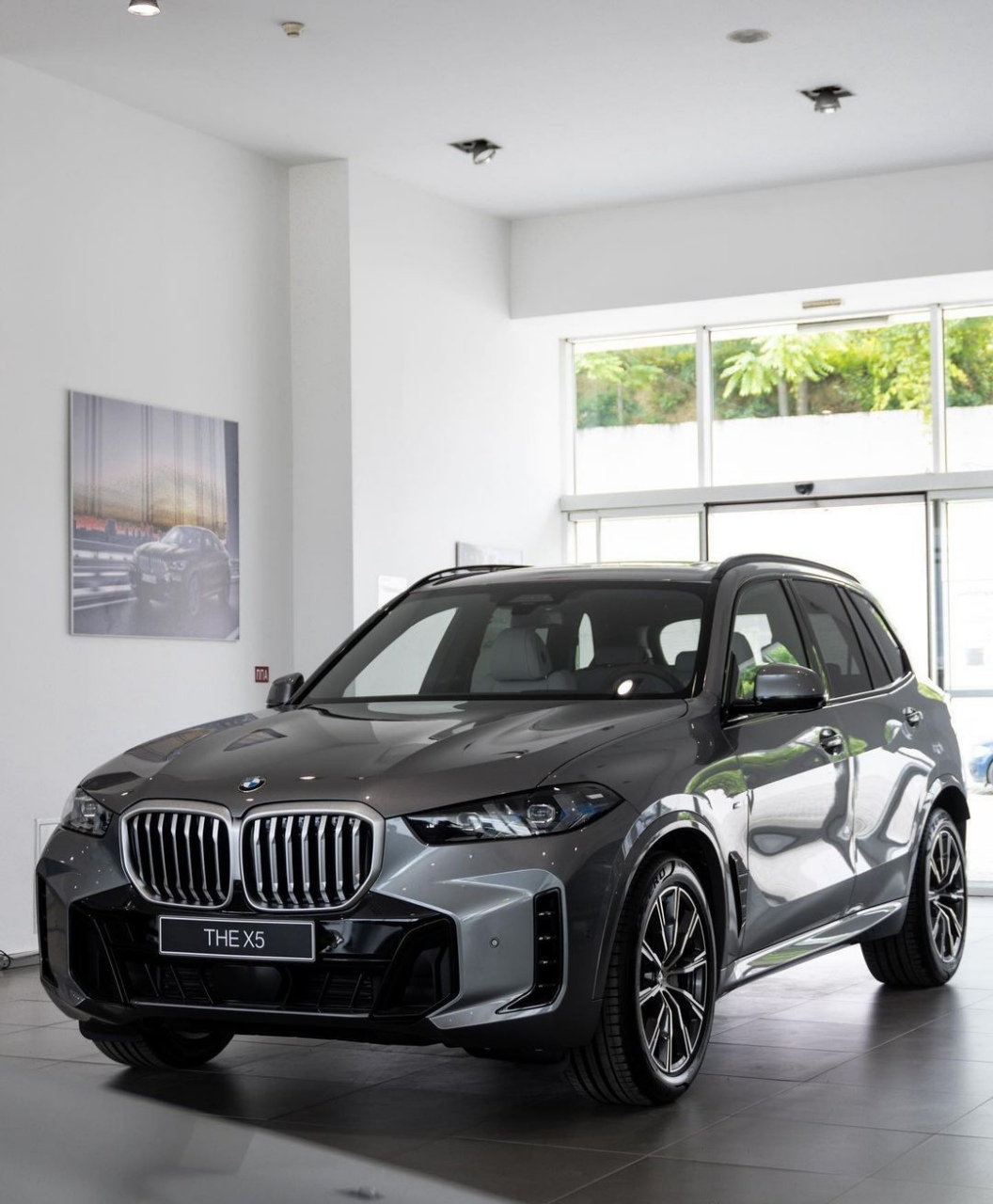 2024 bmw x5 & bmw x6