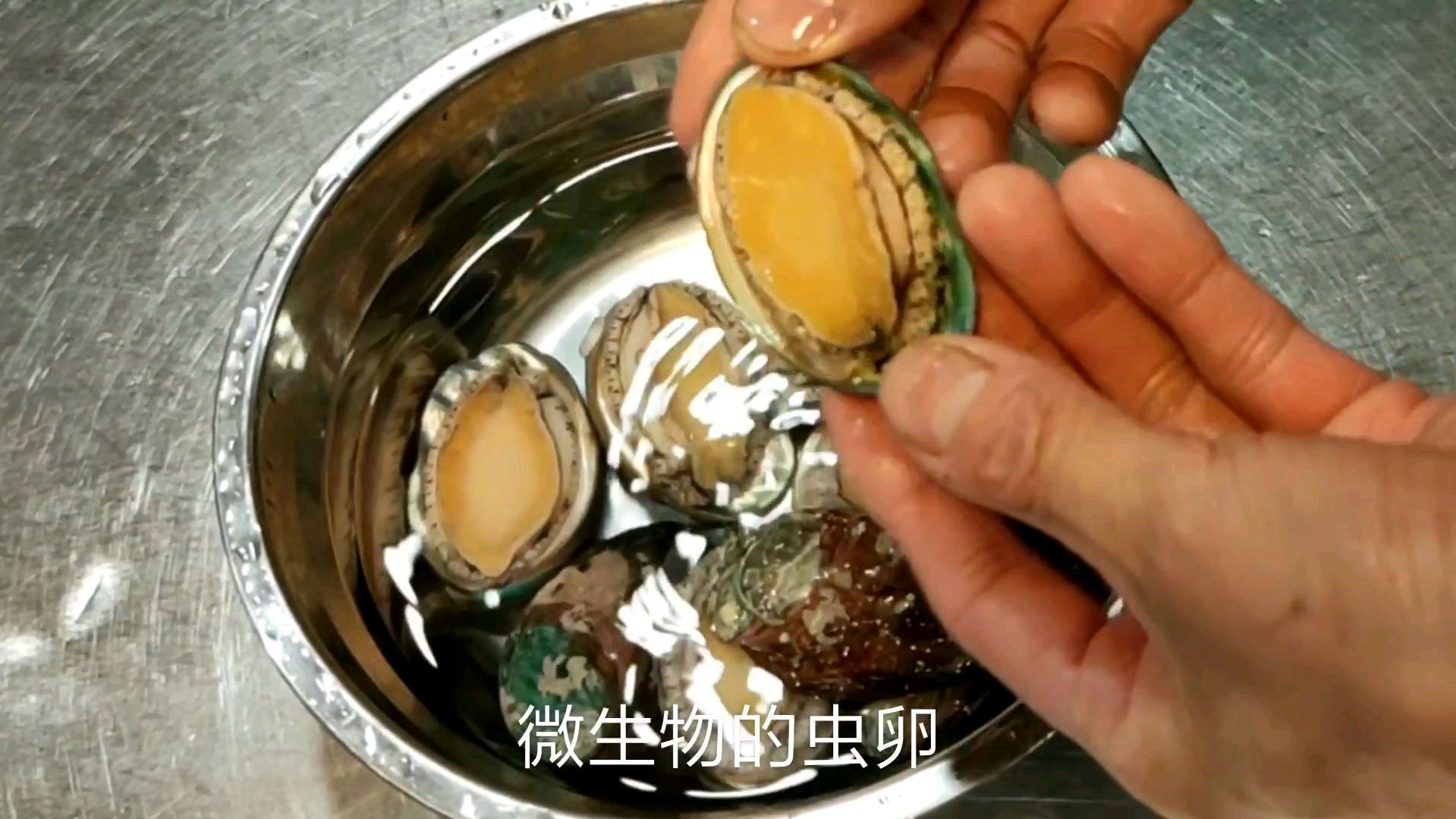 饭店大厨讲解小鲍鱼正确宰杀处理工艺,里面学问不少