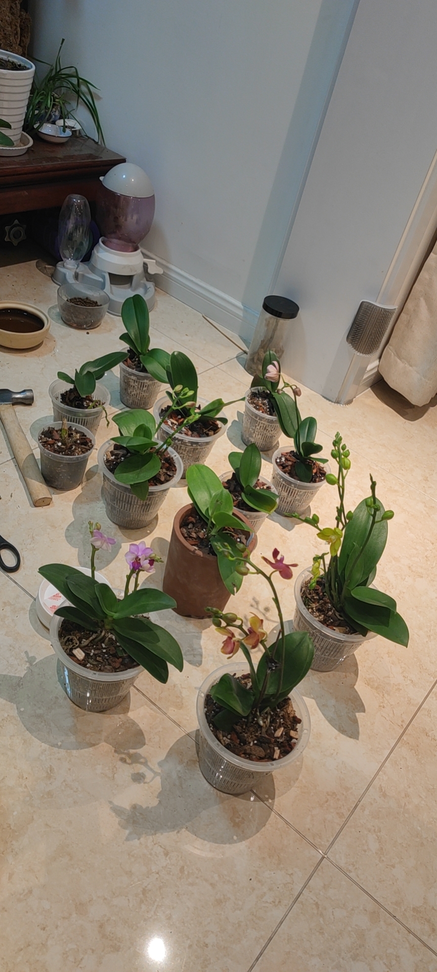 21年发的朋友圈