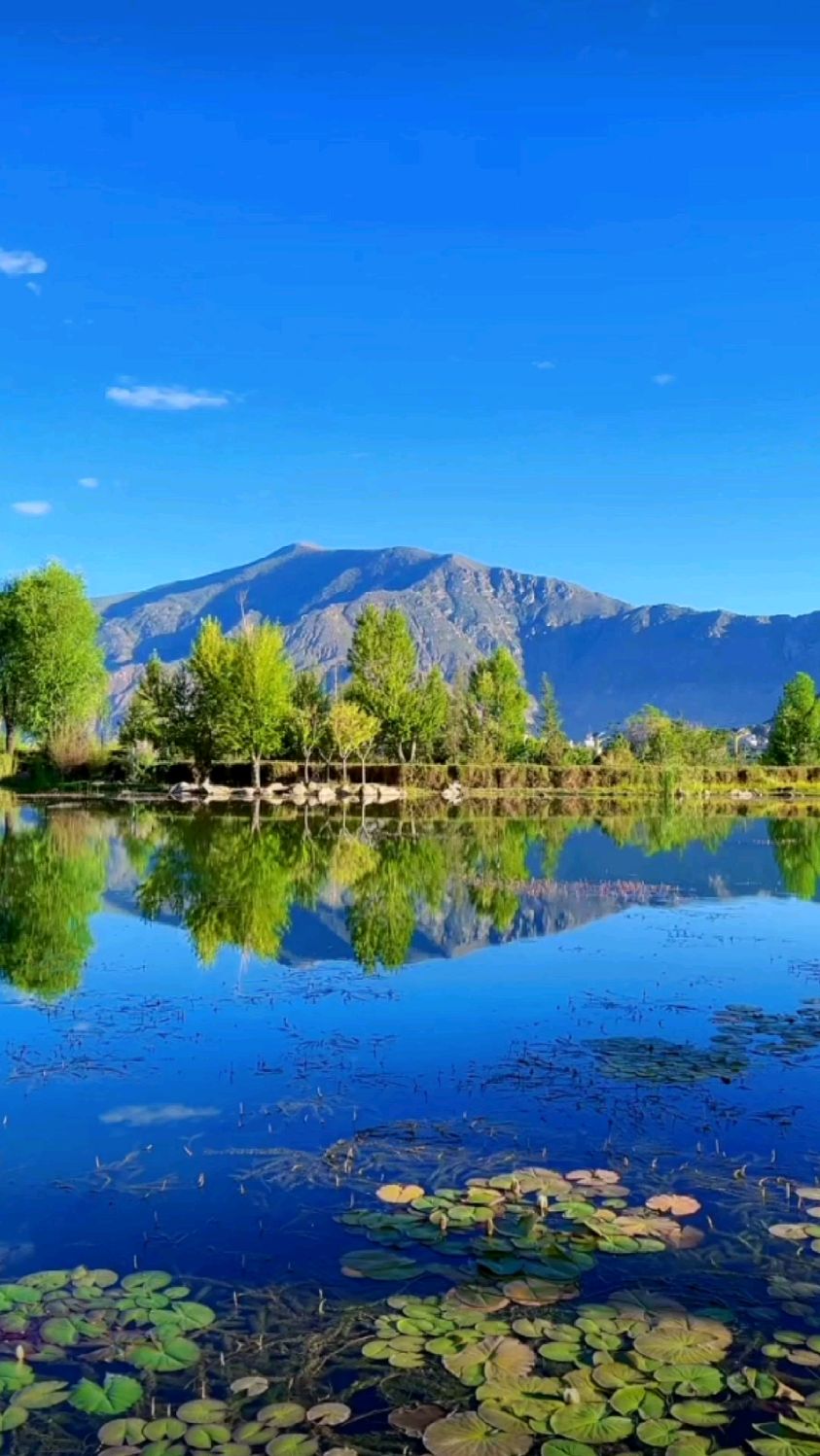 美丽的西藏拉萨南山公园