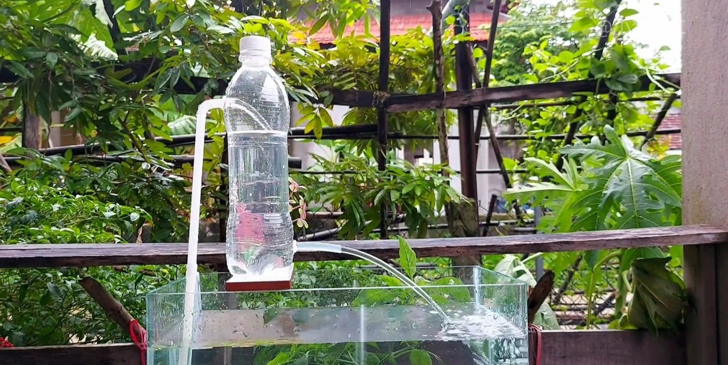 仅需要一个塑料瓶和两根软管就可以源源不断的给鱼缸打氧,一来省些