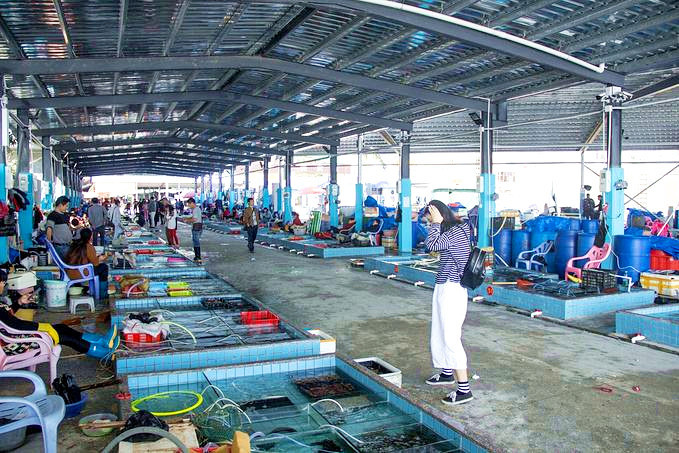惠东霞涌海鲜市场
