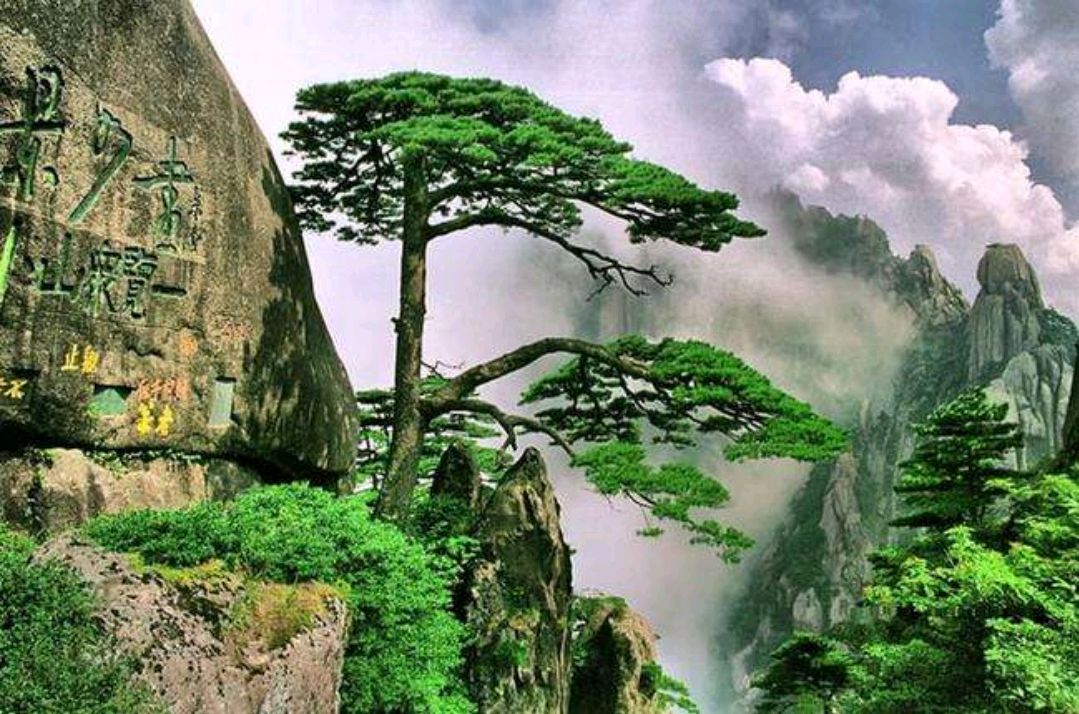 安徽黄山美景照片流出,引起热议:感谢大自然的馈赠!