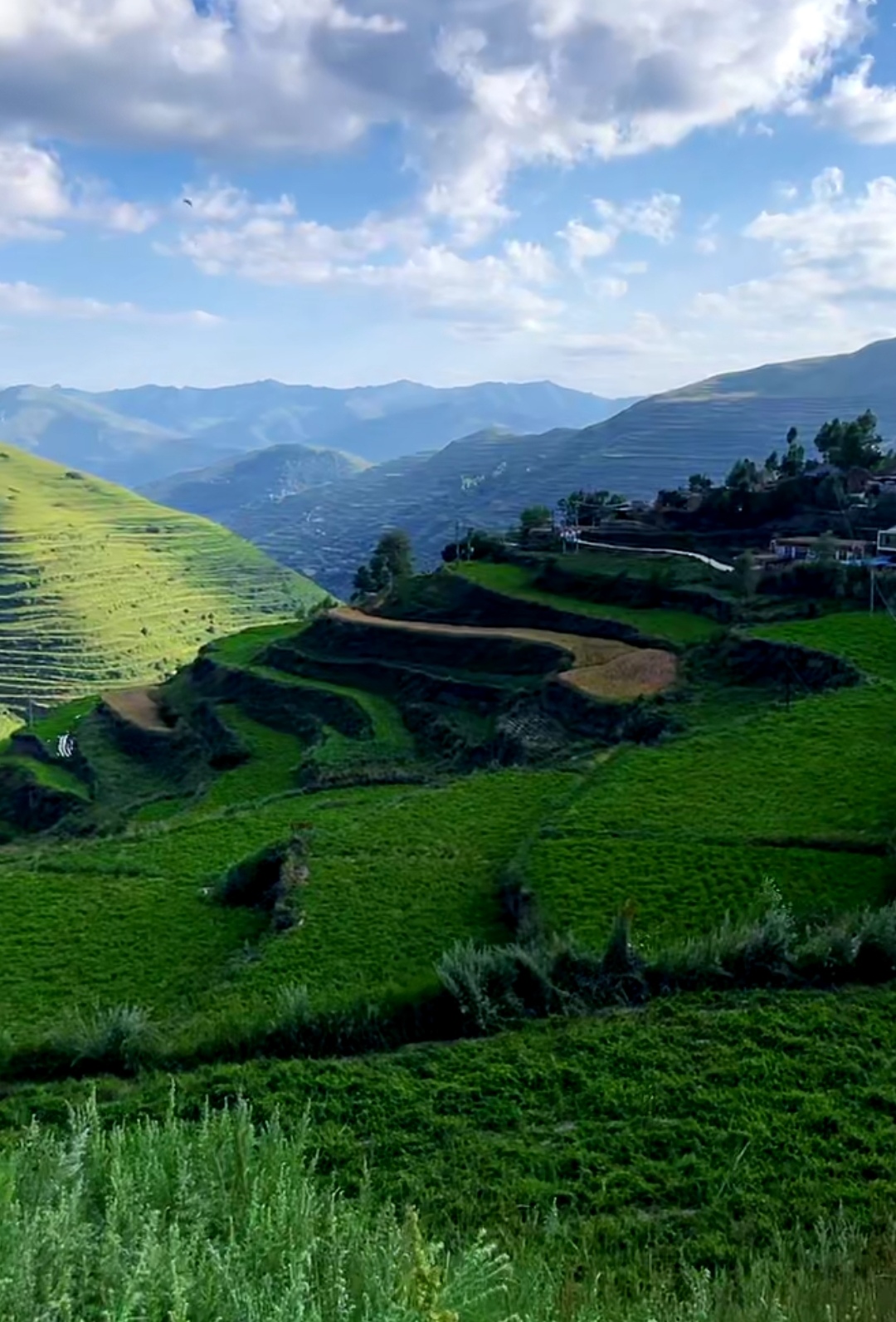 麻田岭风景区图片