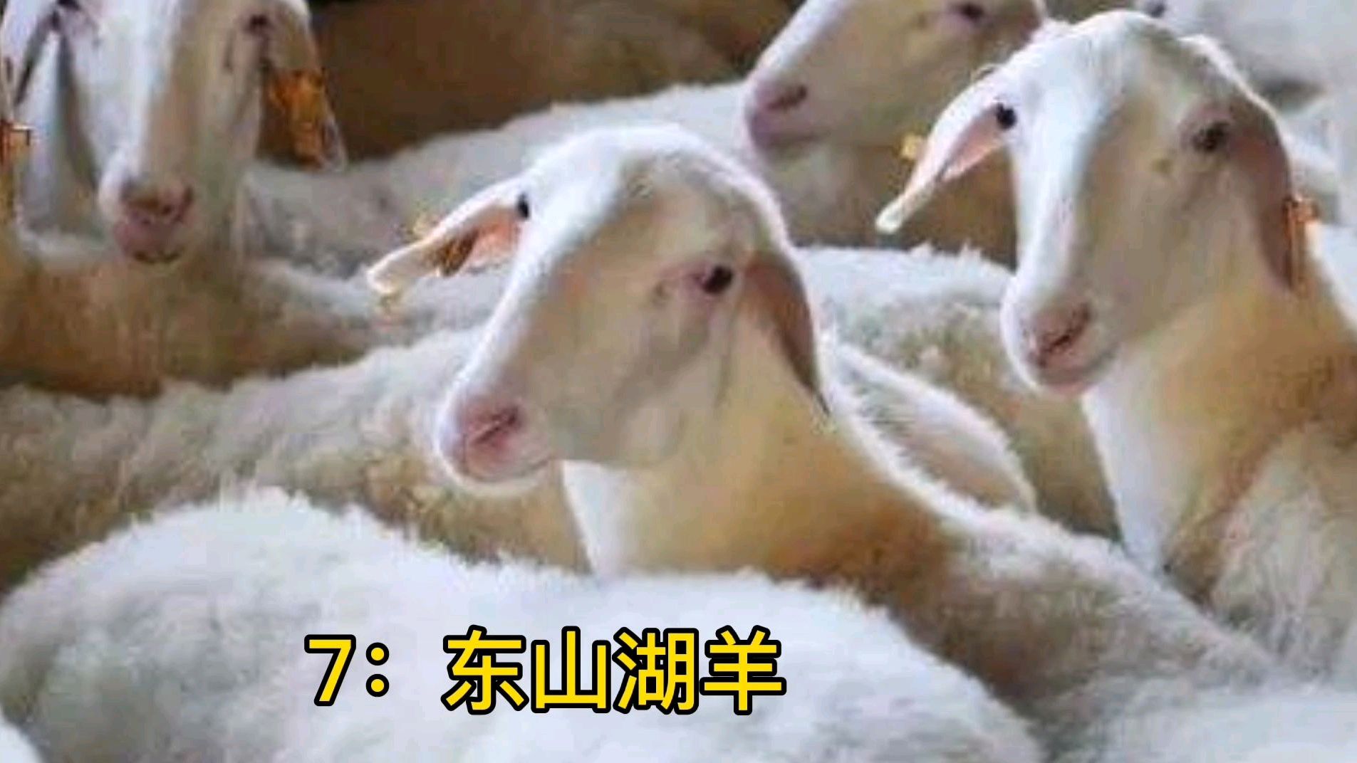 苏州市的10大特产有哪些(下)