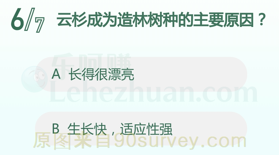 云杉成为造林树种的主要原因是云杉生长快适应性强