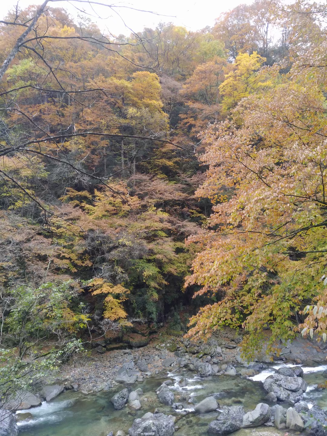 江油藏王寨图片