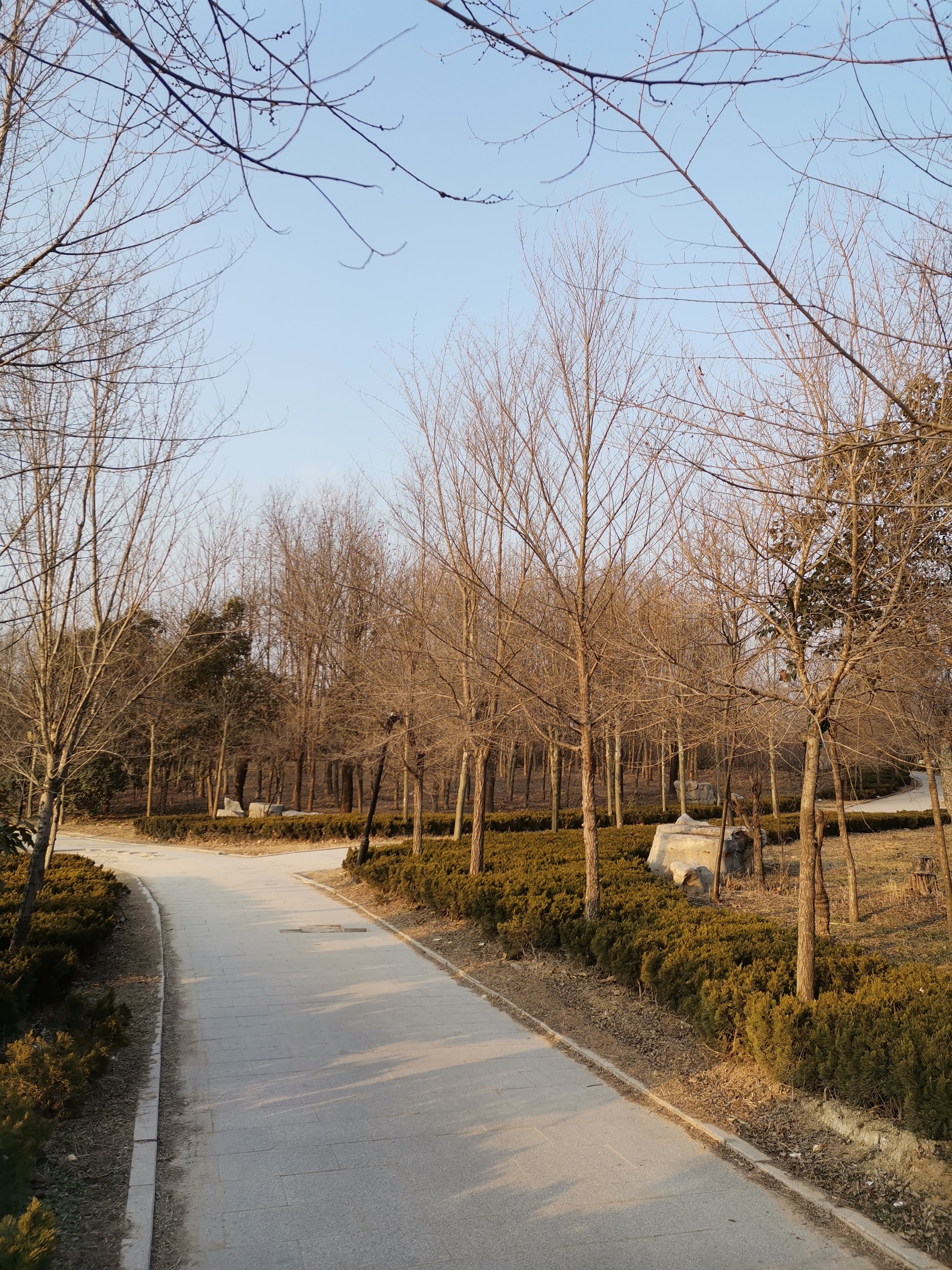 "宇宙中心"曹县八里湾风景区