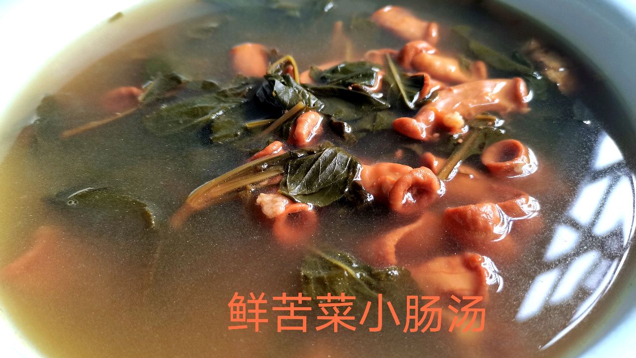 清热养颜的鲜新苦菜小肠汤