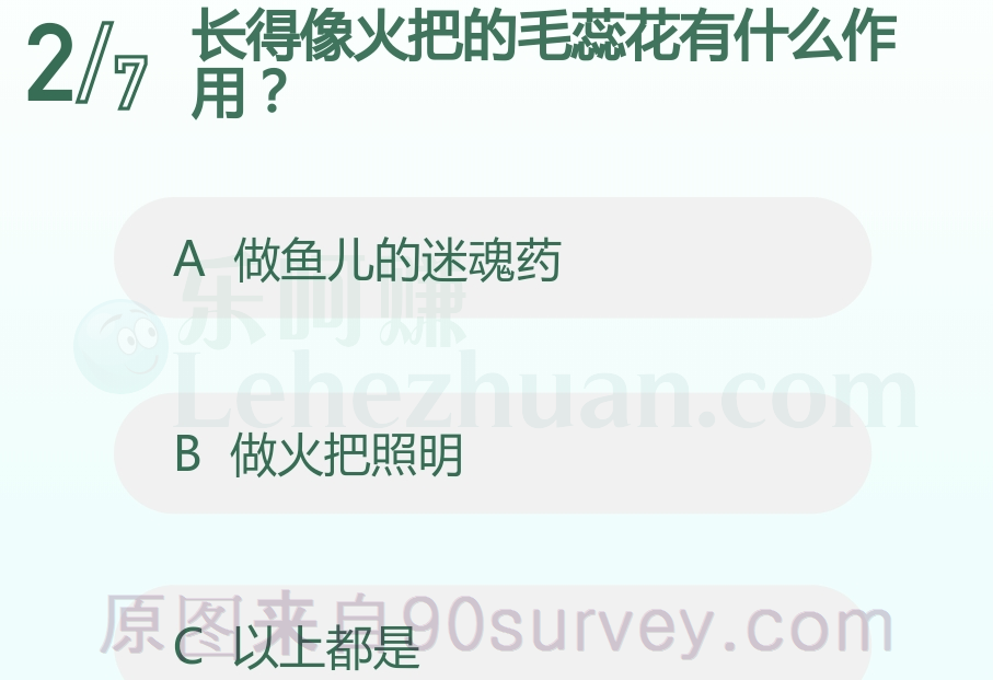 长得像火把的毛蕊花的茎可以做成油灯的灯芯或火把