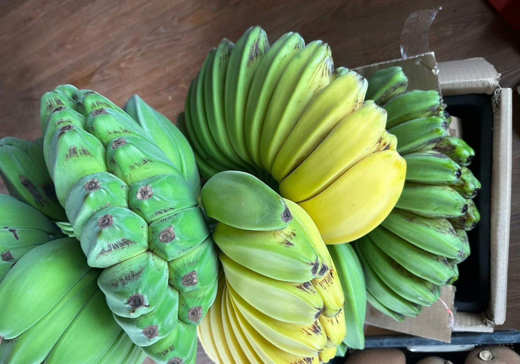 祈祷之手,最有佛缘的水果,佛手蕉,也叫合手蕉…9090世界上最好的