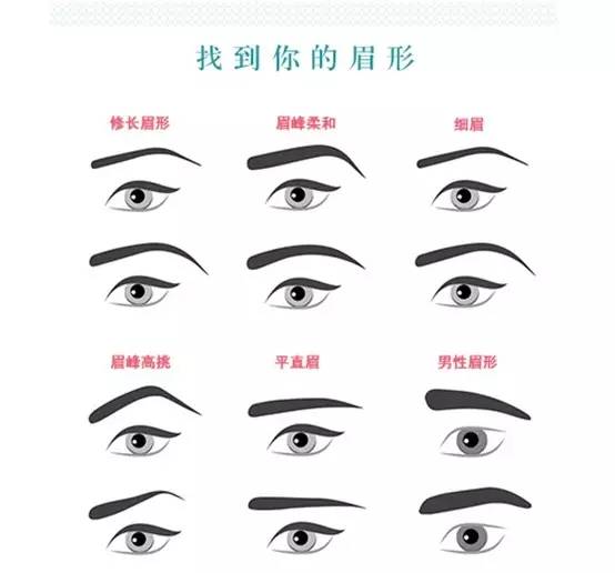 女人眉毛看相图解 女人眉毛形状图解