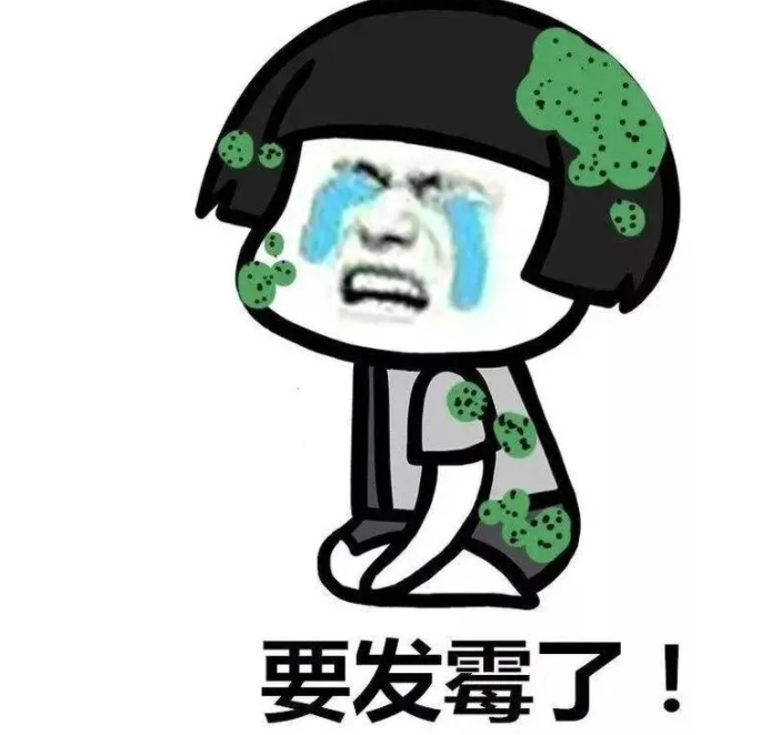 广东人真的要发霉了