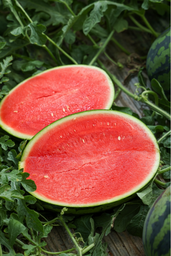 甘美4k西瓜,不用吐籽的西瓜