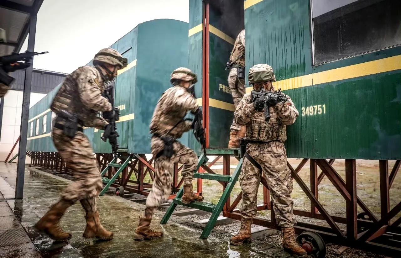 虎斑迷彩:军装界的"颜值与实力担当"!