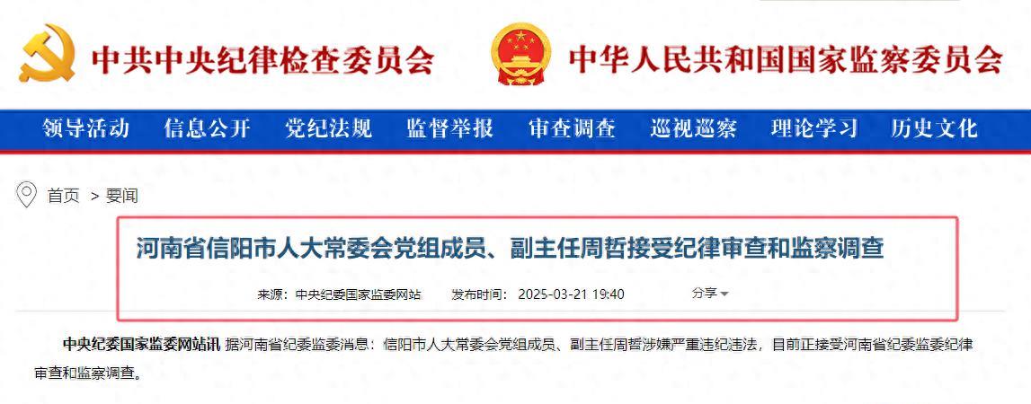 河南省信阳市人大副主任周哲被查!曾是商城县县长,罗山县委书记