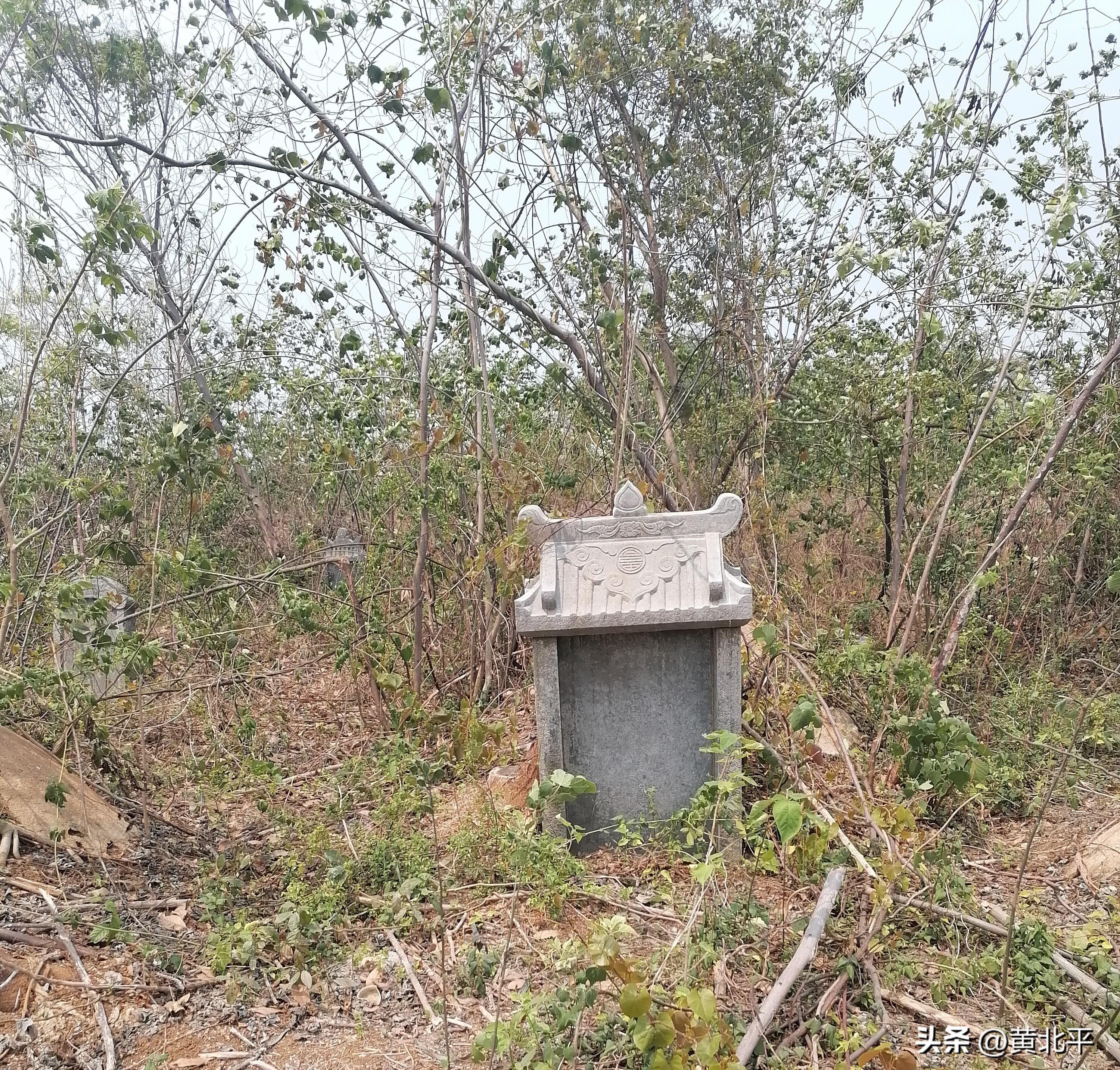 广西南宁市隆安县城厢镇林间发现清代古墓,墓主九品官地位不低