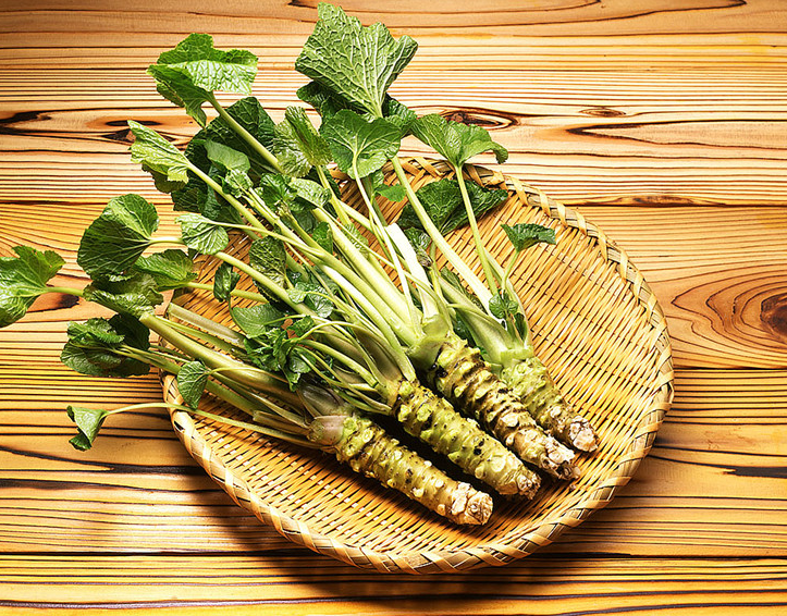 辣根和芥末的区别,我来聊聊