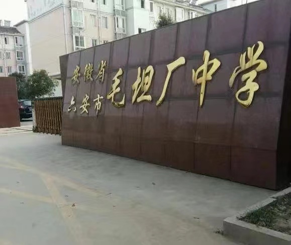 毛坦厂中学:闻名遐迩的"高考工厂"展现教育魅力