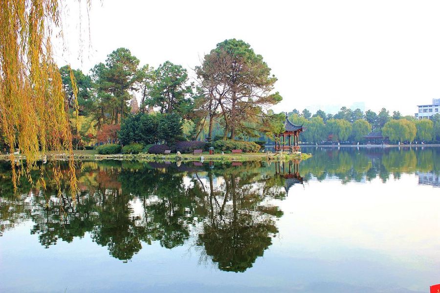 招生48人!浙江大学发布2024年艺术类专业招生信息