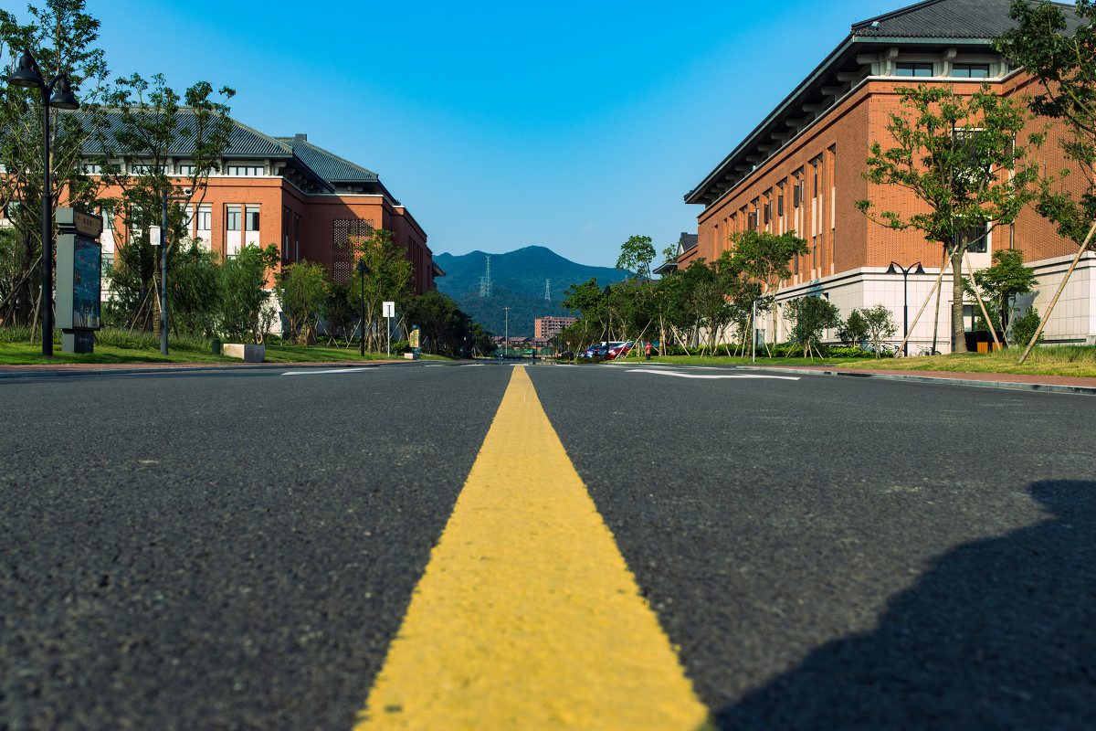 招生48人!浙江大学发布2024年艺术类专业招生信息