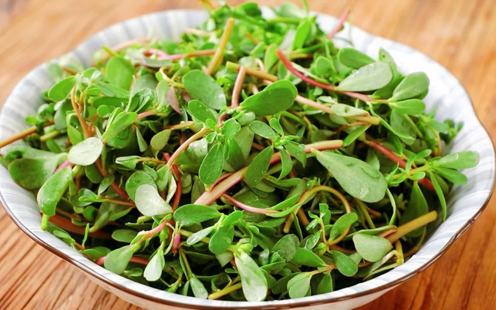 "马齿苋"是个宝,用来煮水喝,或能帮你解决5个问题,建议了解
