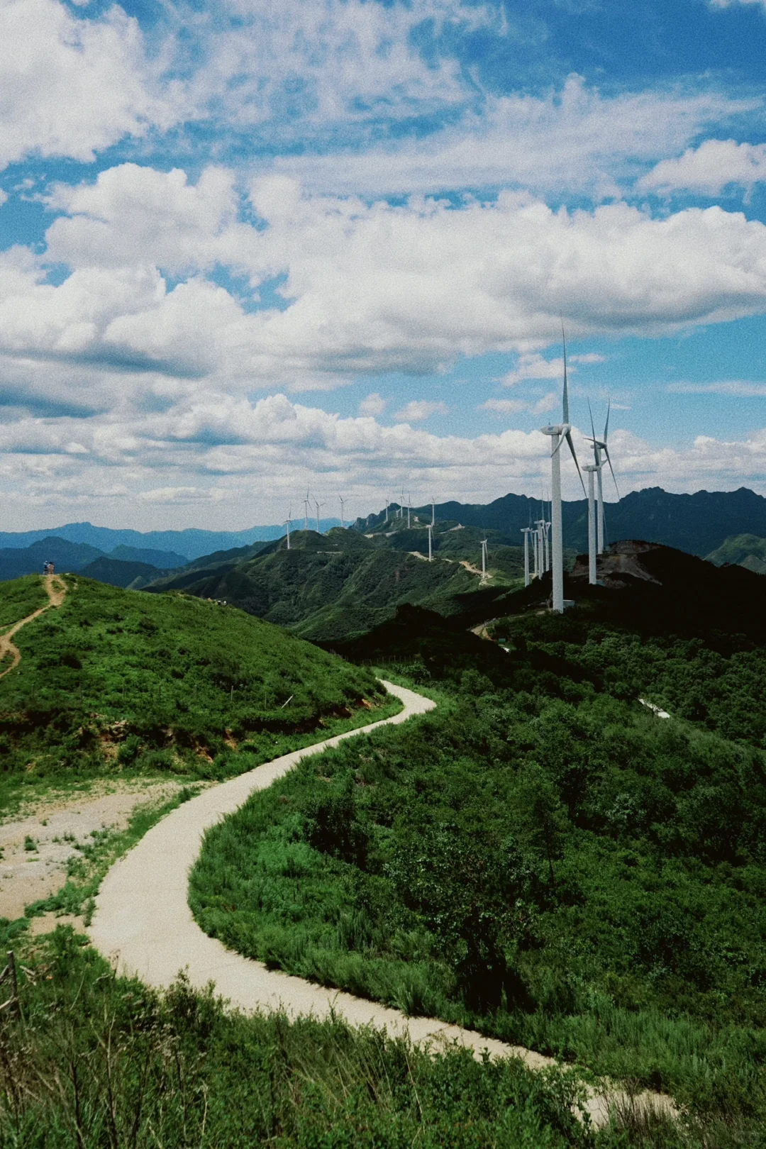 一路能开到山顶的好去处,看大风车