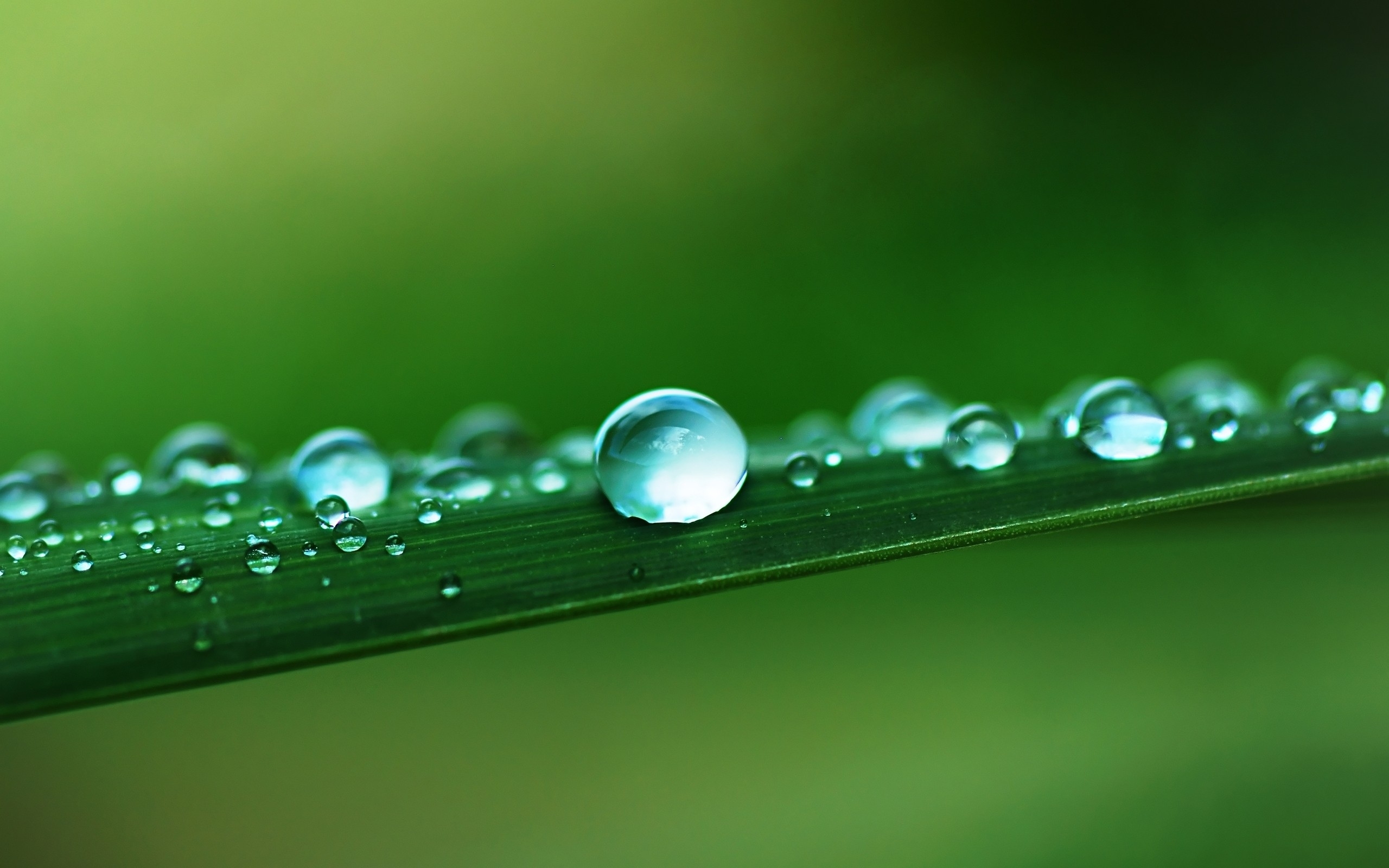 华为matepad pro清新护眼壁纸