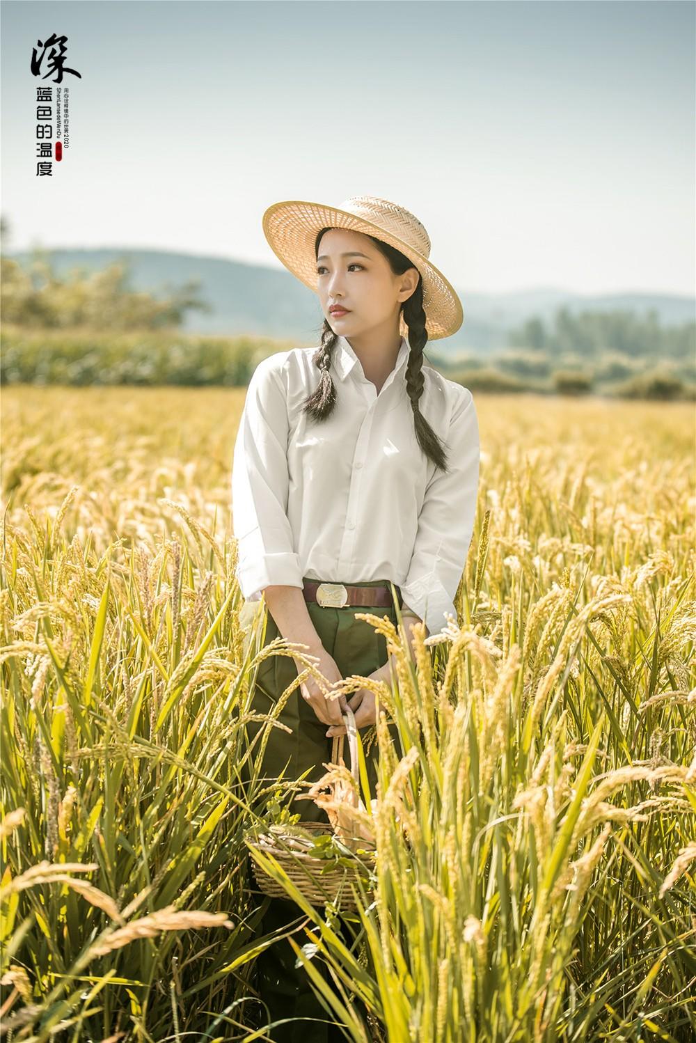 下洼情深 稻花飘香