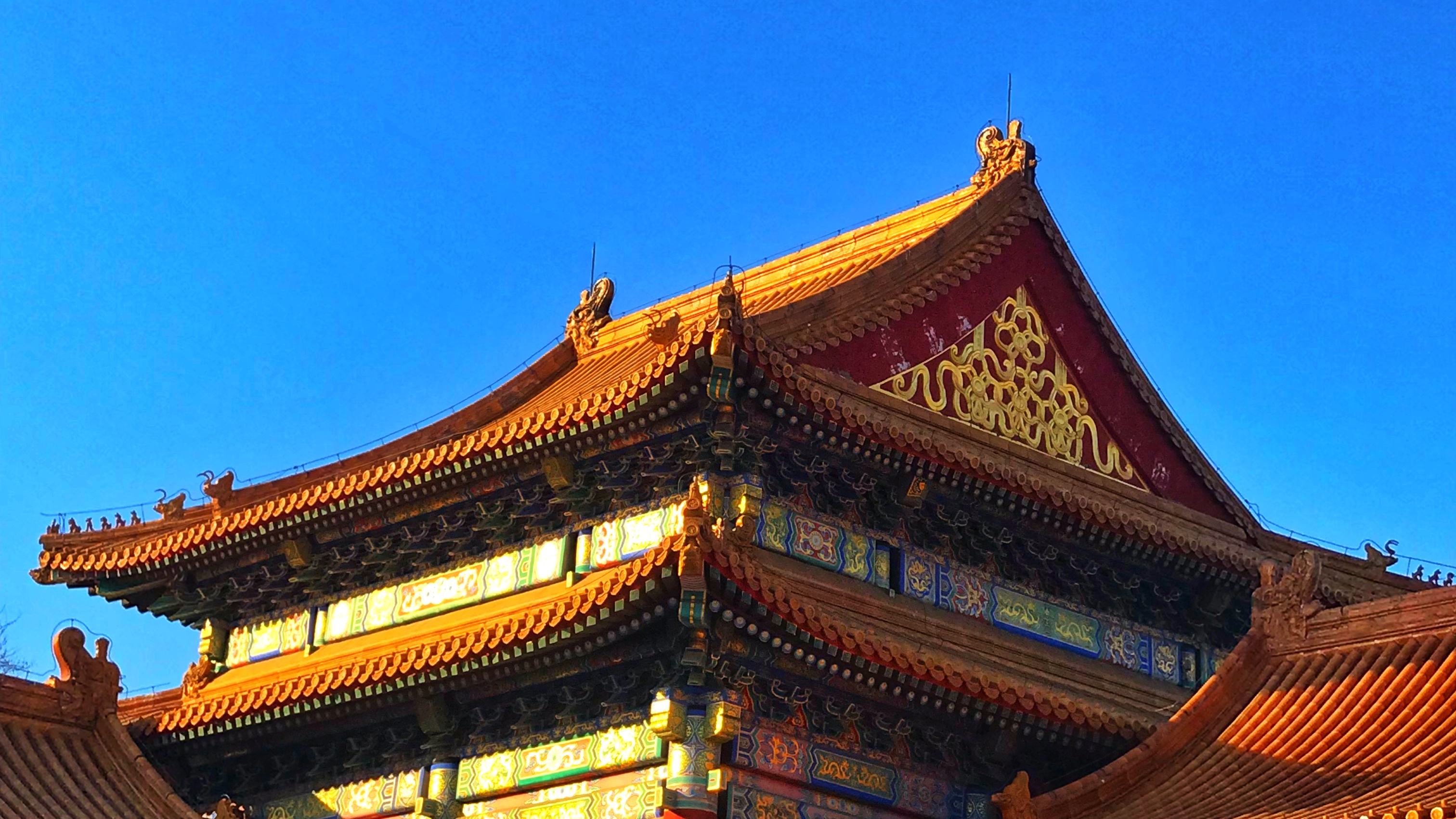 每日一景|金碧辉煌紫禁城,红墙宫里万重门