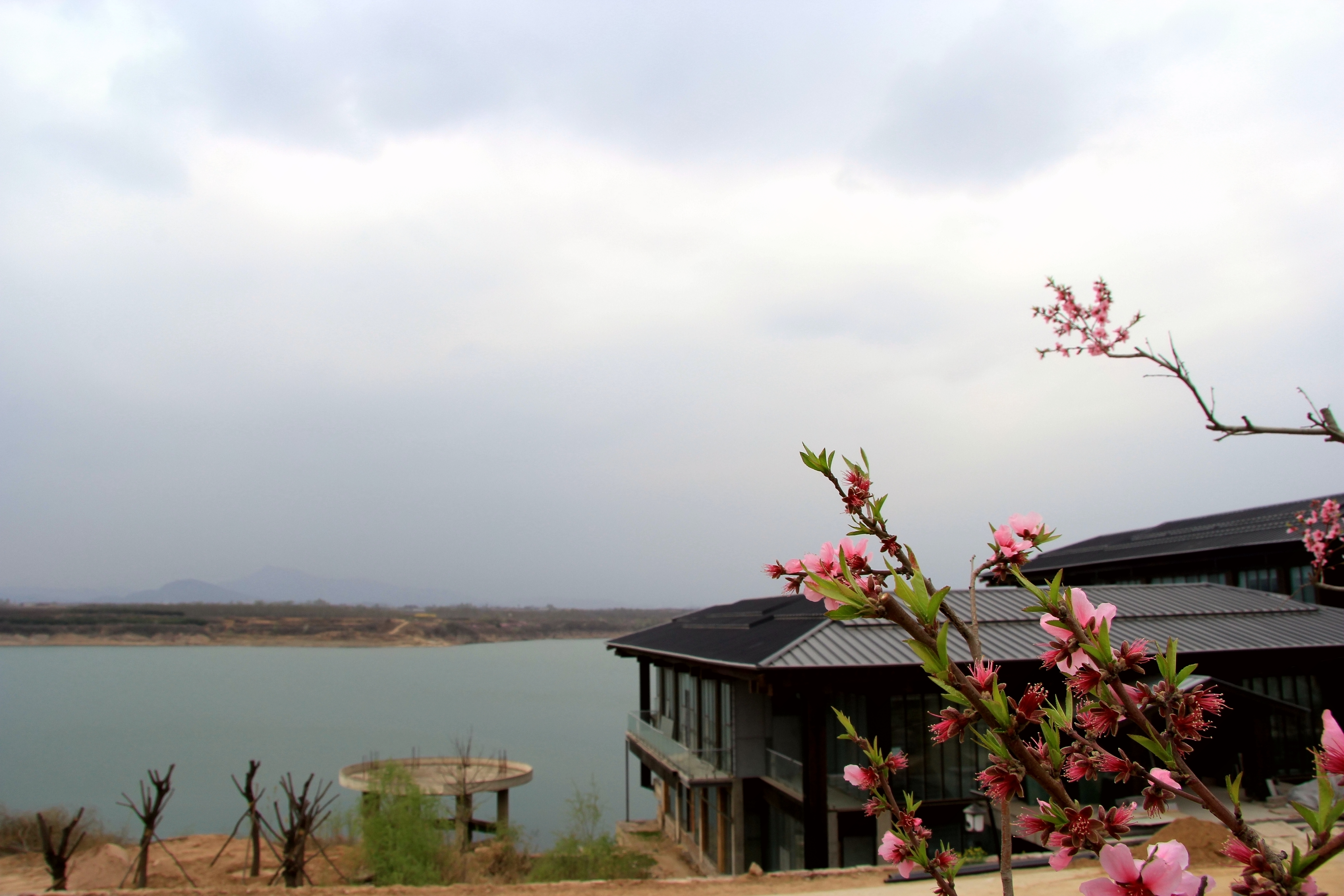 栖心湾康养度假小镇·桃花