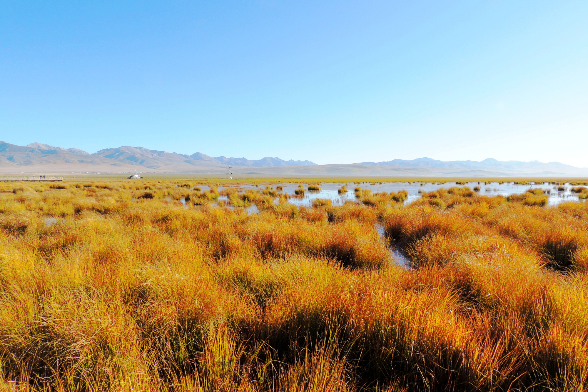 花湖——若尔盖大草原一碧万顷,梦幻花湖烟波浩渺.