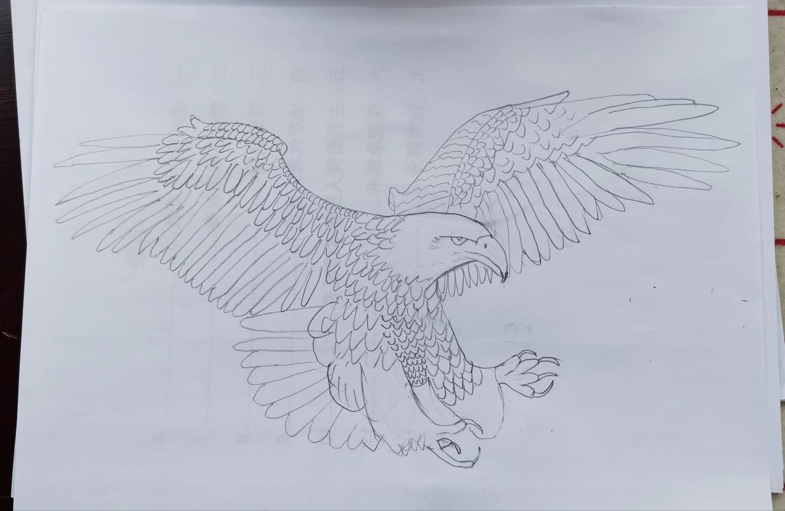 老鹰怎么画霸气 画家图片