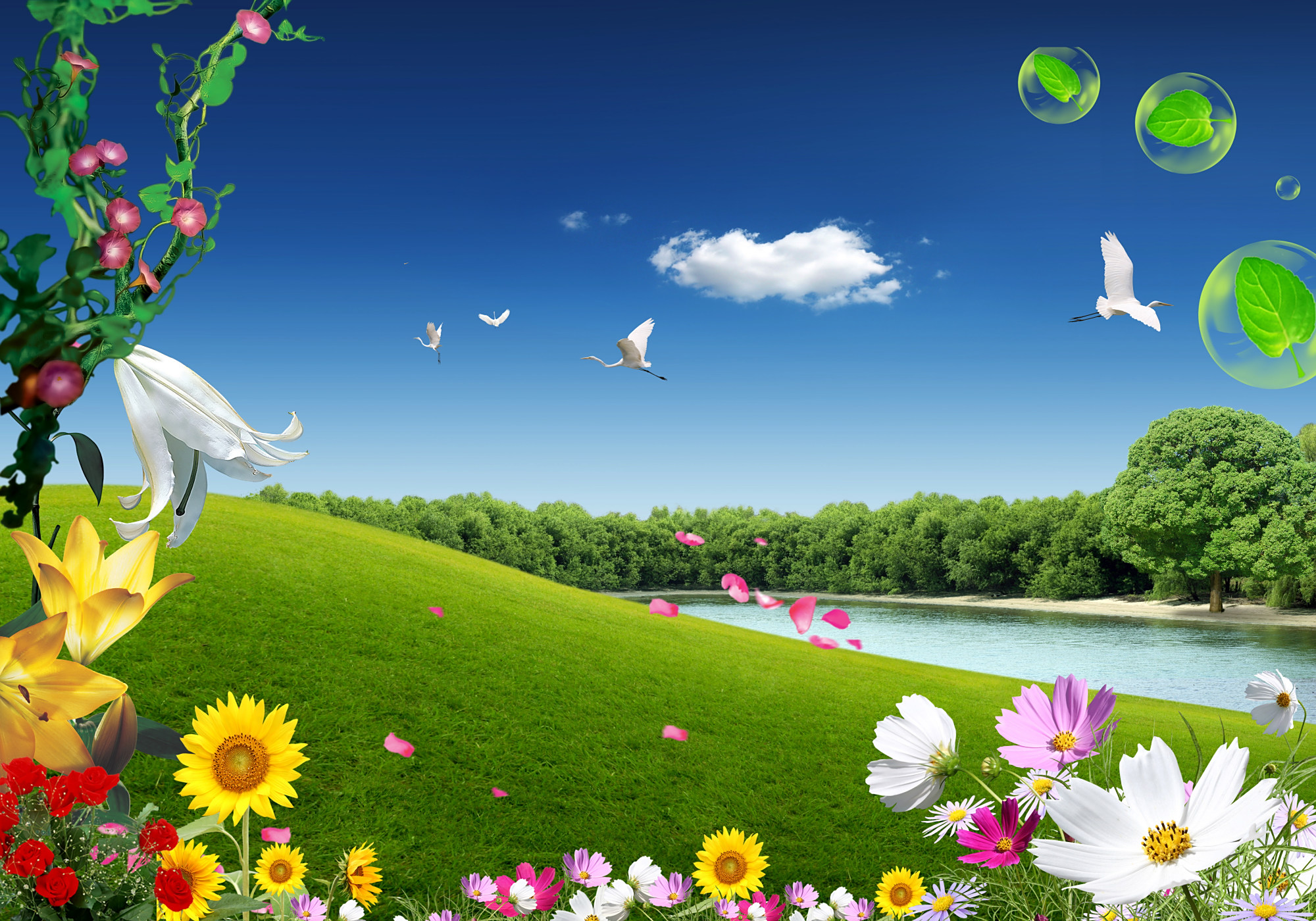 图片大图 baijiahao.baidu.com