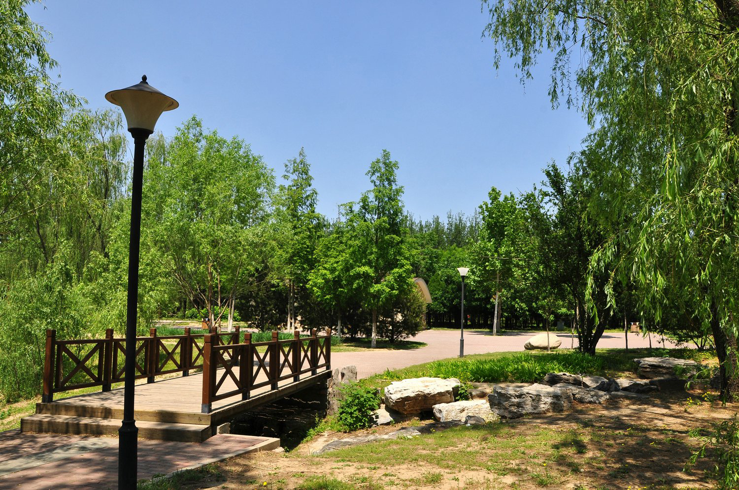 北京免费郊野公园大全图片