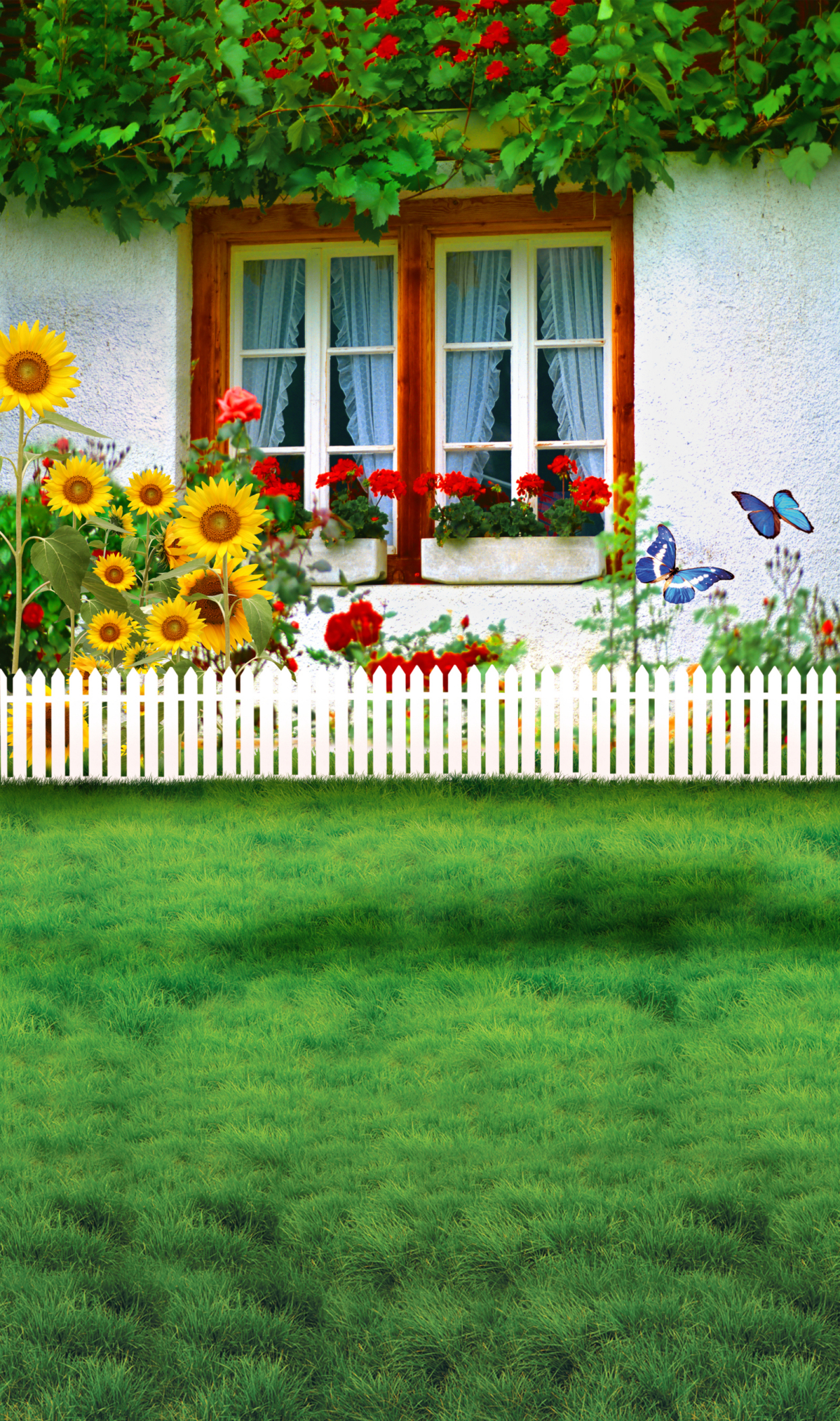 高清大图素材摄影儿童背景图6