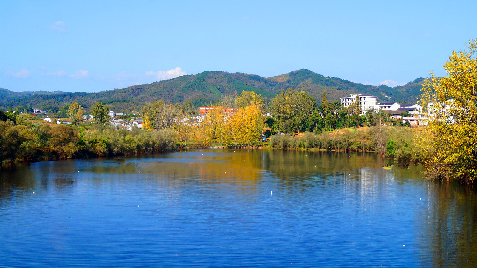 湖北竹溪:秋日的龙湖国家湿地公园碧空如冼,五彩斑斓,美不胜收