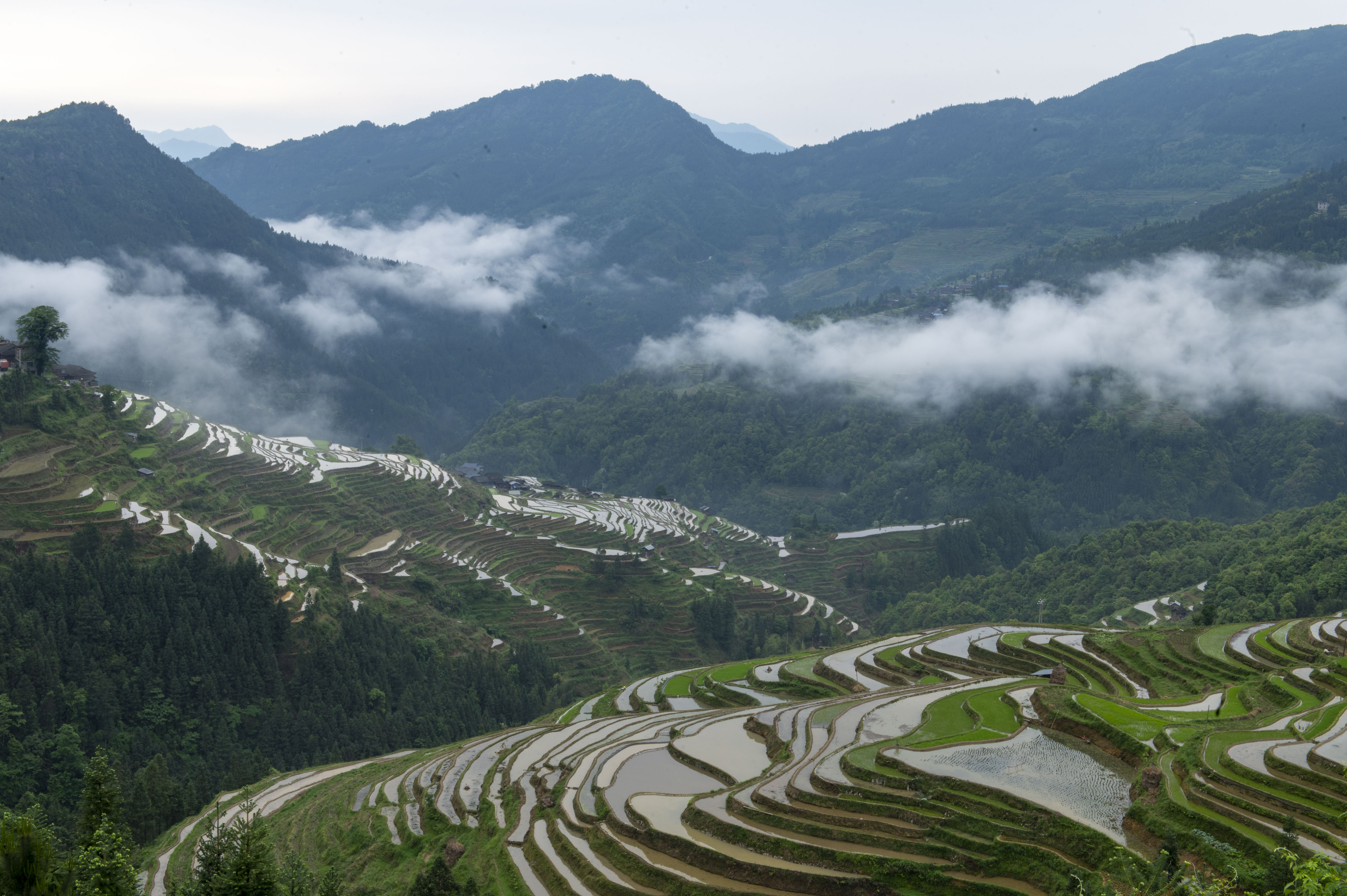 贵州从江高端网站建设_(贵州从江旅游攻略必去景点)