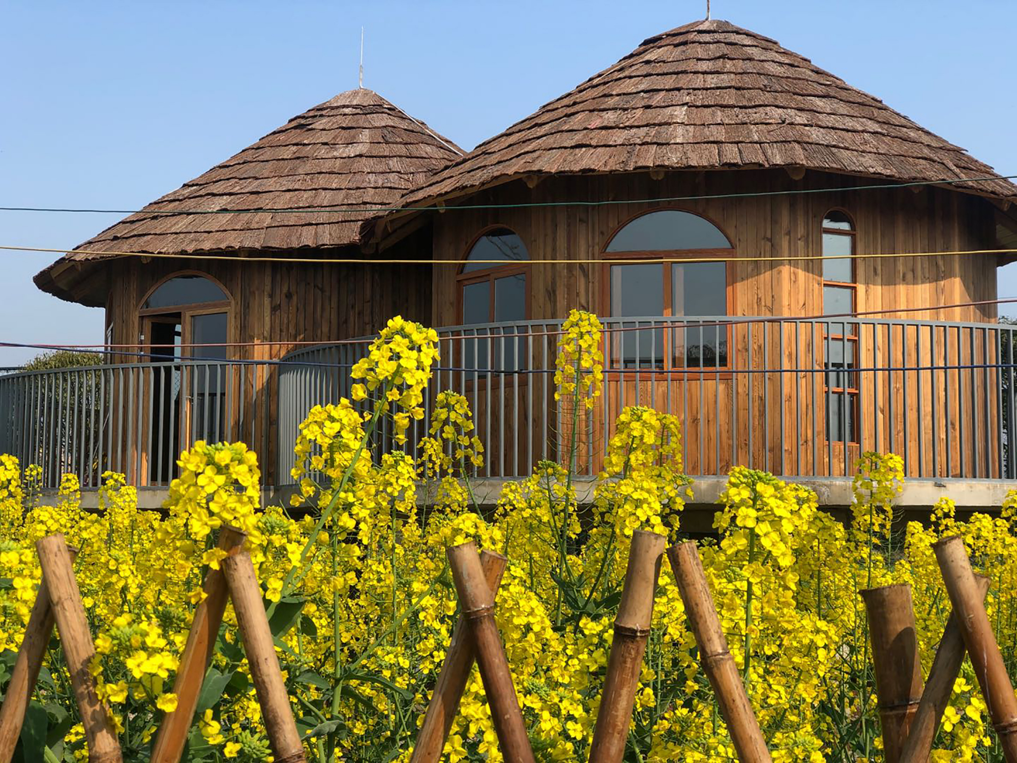 成都新都区芳华桂城的紫藤花海,浪漫得不要不要的!