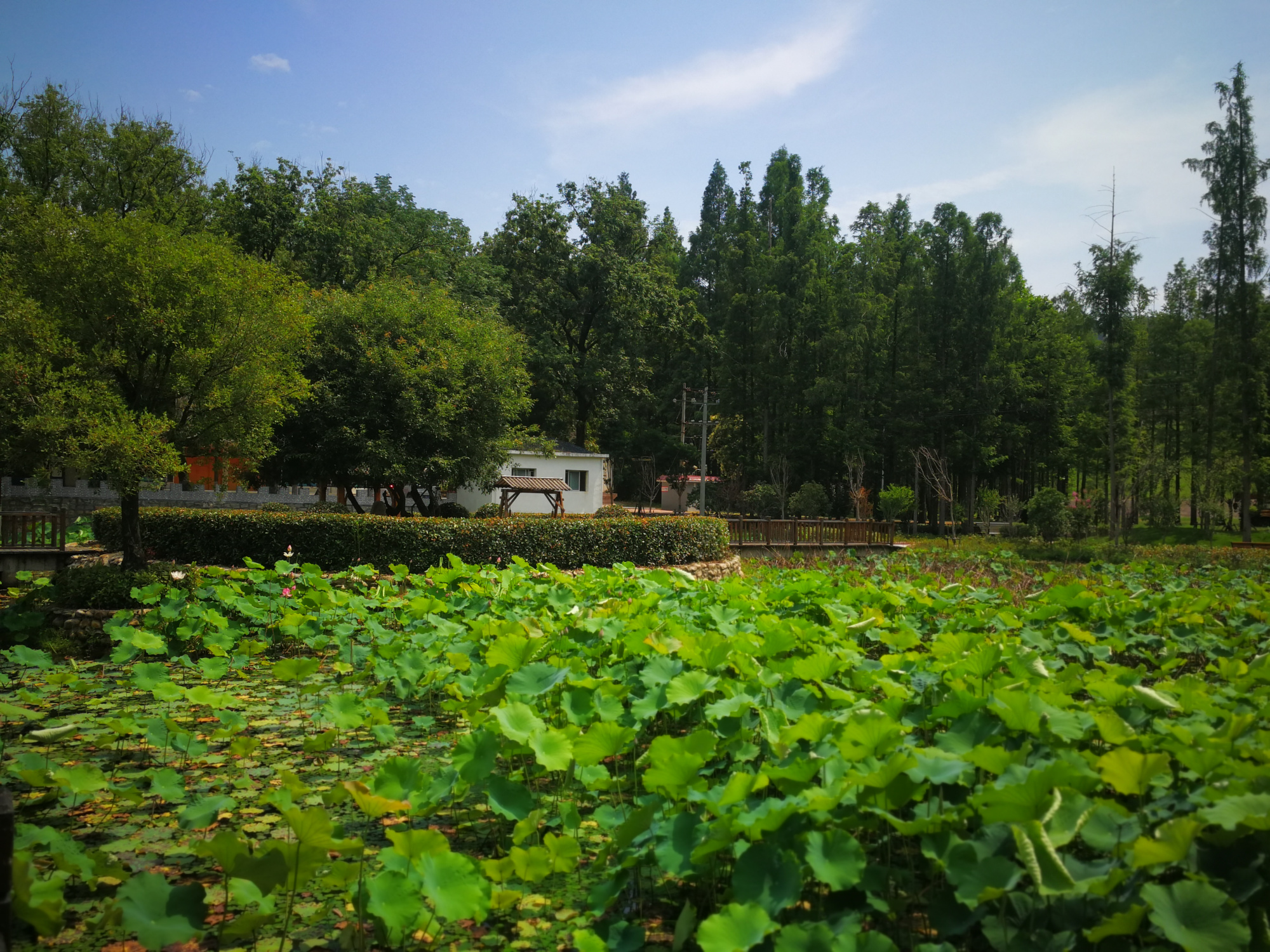 中华第一龙,麻城市明山水库——夏季自驾游好地方